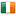 Irish Division 1