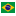 Brazilian Catarinense